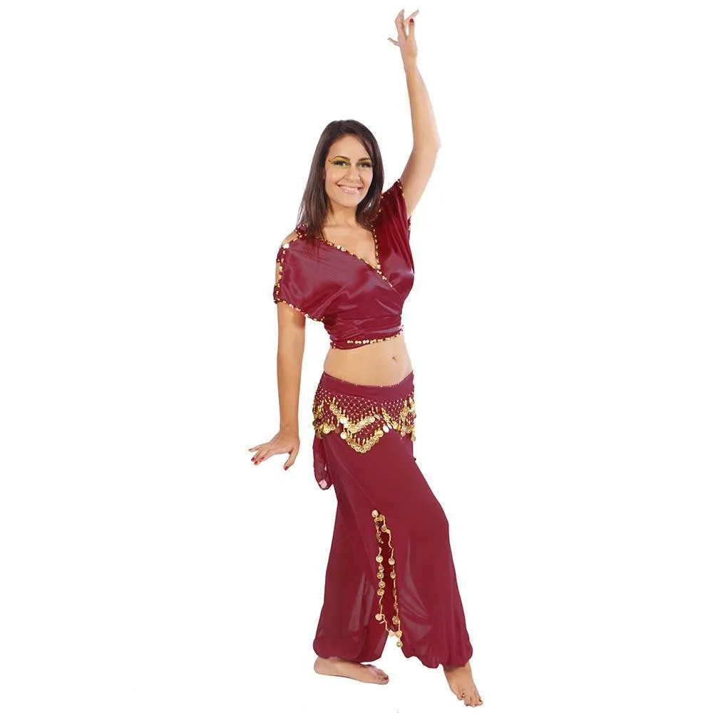 Belly Dance Satin Top, Chiffon Harem Pants, & Hip Scarf Costume Set | SHINING SHOWCASE